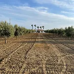 Mancosta * מרינלה דו סלינונטה