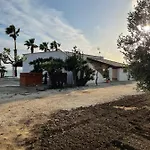 Mancosta * מרינלה דו סלינונטה