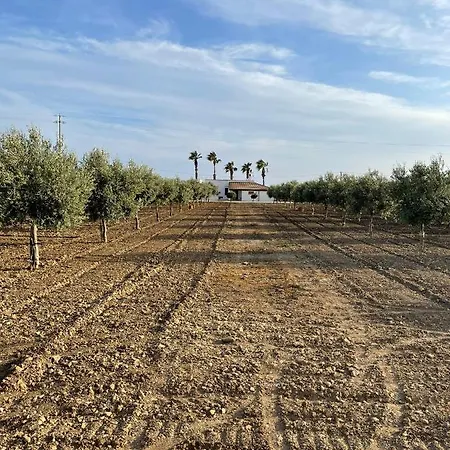Mancosta * Marinella di Selinunte